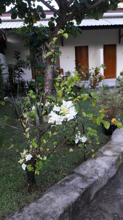 Herry Homestay Kuta  Eksteriør billede